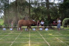kiever-erntefest-2016-54