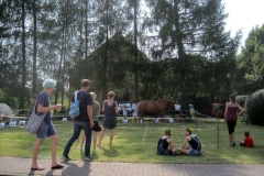 kiever-erntefest-2016-55