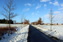 winterwanderung2017-46