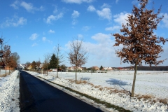 winterwanderung2017-47