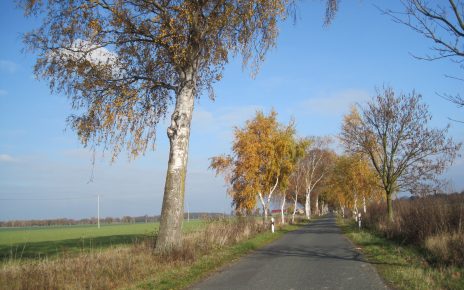 Die Baumalle von Kieve nach Melz