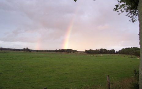 Regenbogen