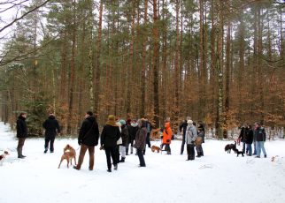 Winterwanderung 2017