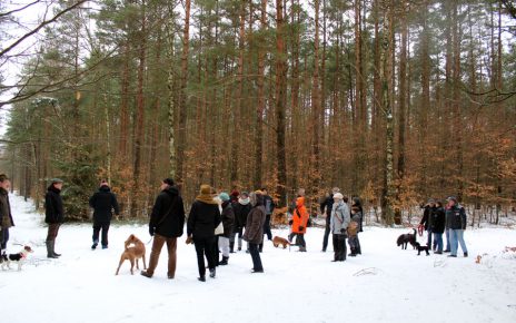 Winterwanderung 2017