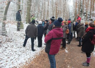 Kiever Winterwanderung 2019