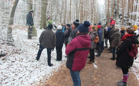 Kiever Winterwanderung 2019