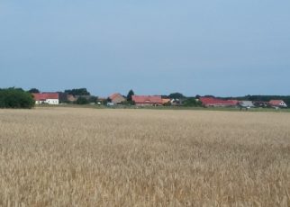 Blick auf Kieve