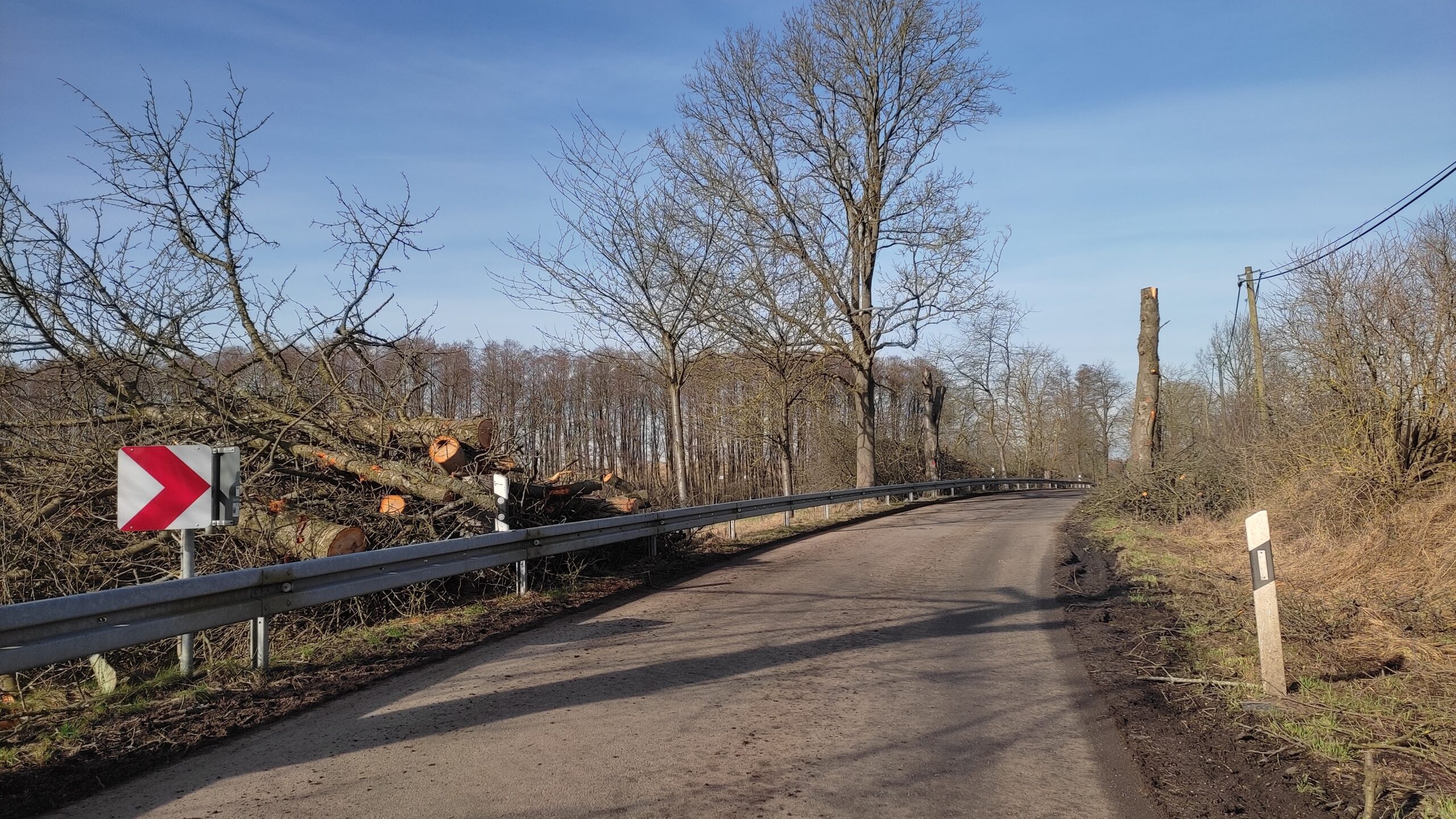 Kirschenallee Kieve - Sturmschaden